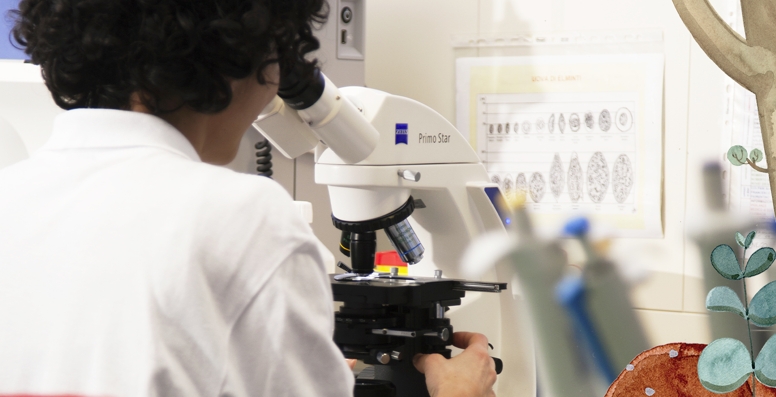Servizio di laboratorio analisi